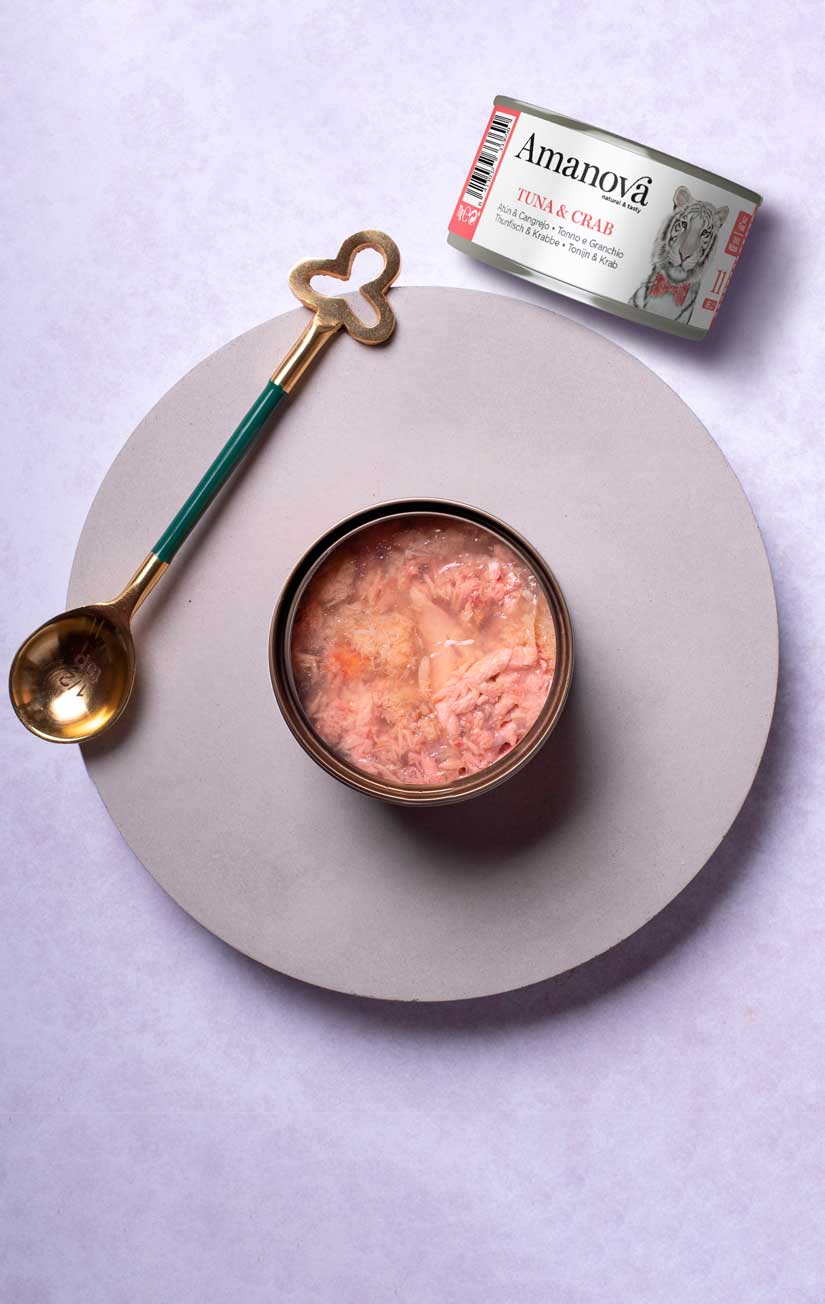 Amanova-Filetto di tonno con granchio Nr11