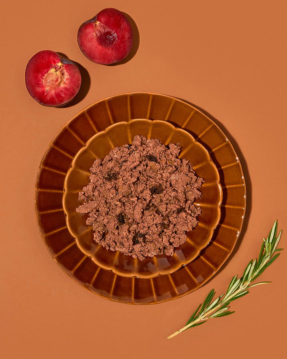 Amanova- Umido cane adulto pollo Squisito P03