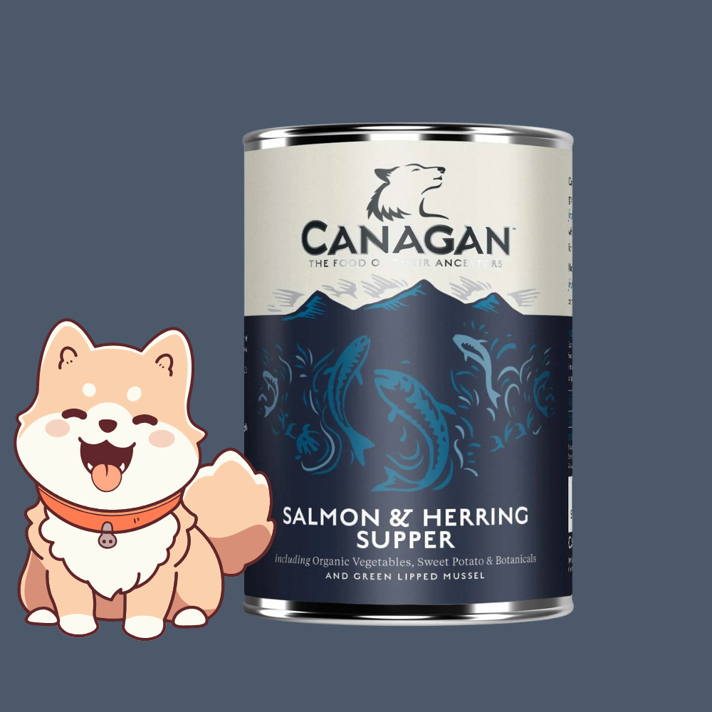 Canagan Salmone e aringa- umido cane 400 gr