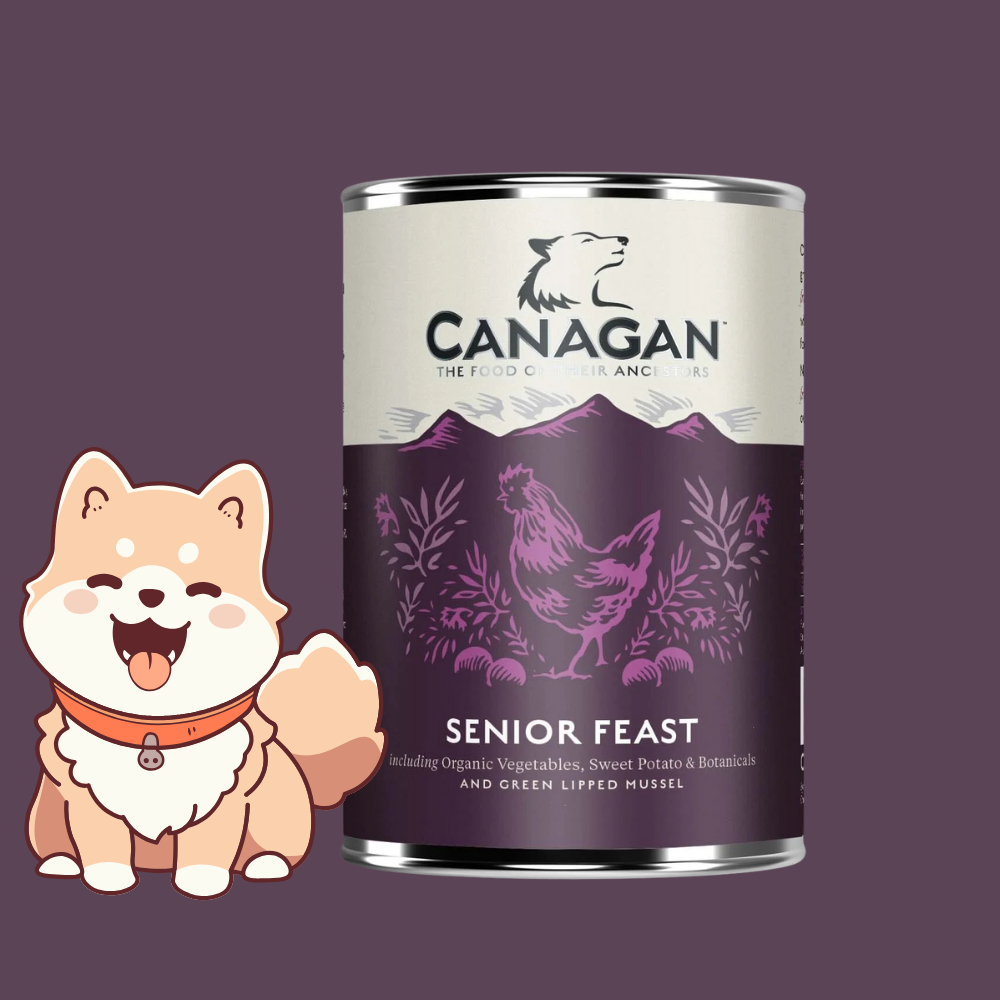 Canagan Senior Feast- umido cane 400 gr