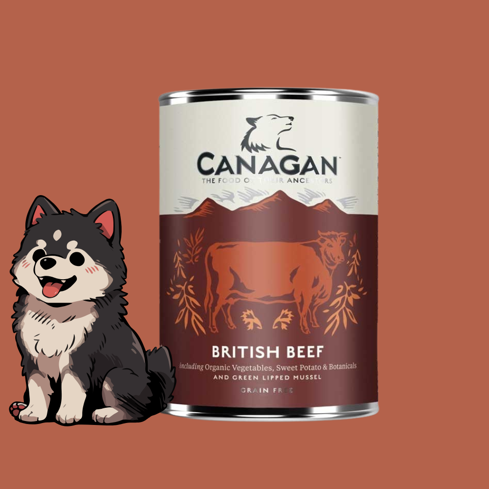 Canagan Beef Stew per Cani 400gr
