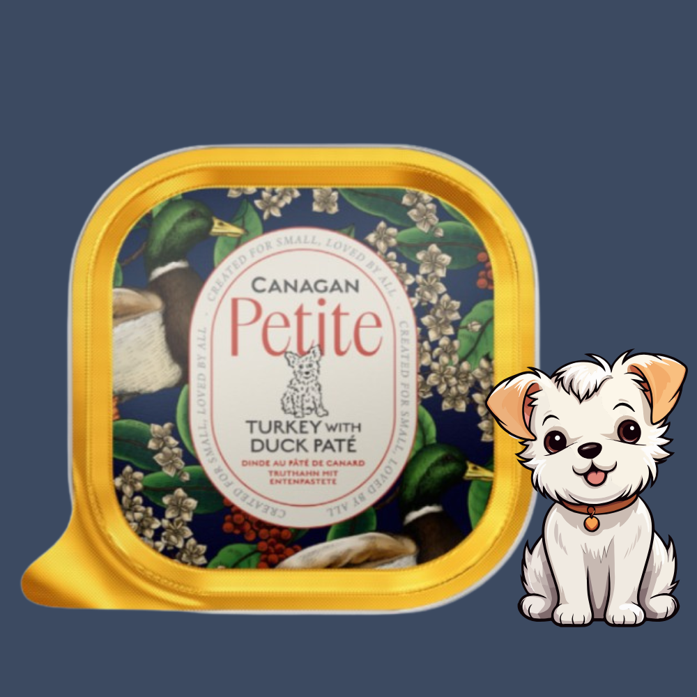 Canagan Petite Patè di Tacchino e Anatra per Cani