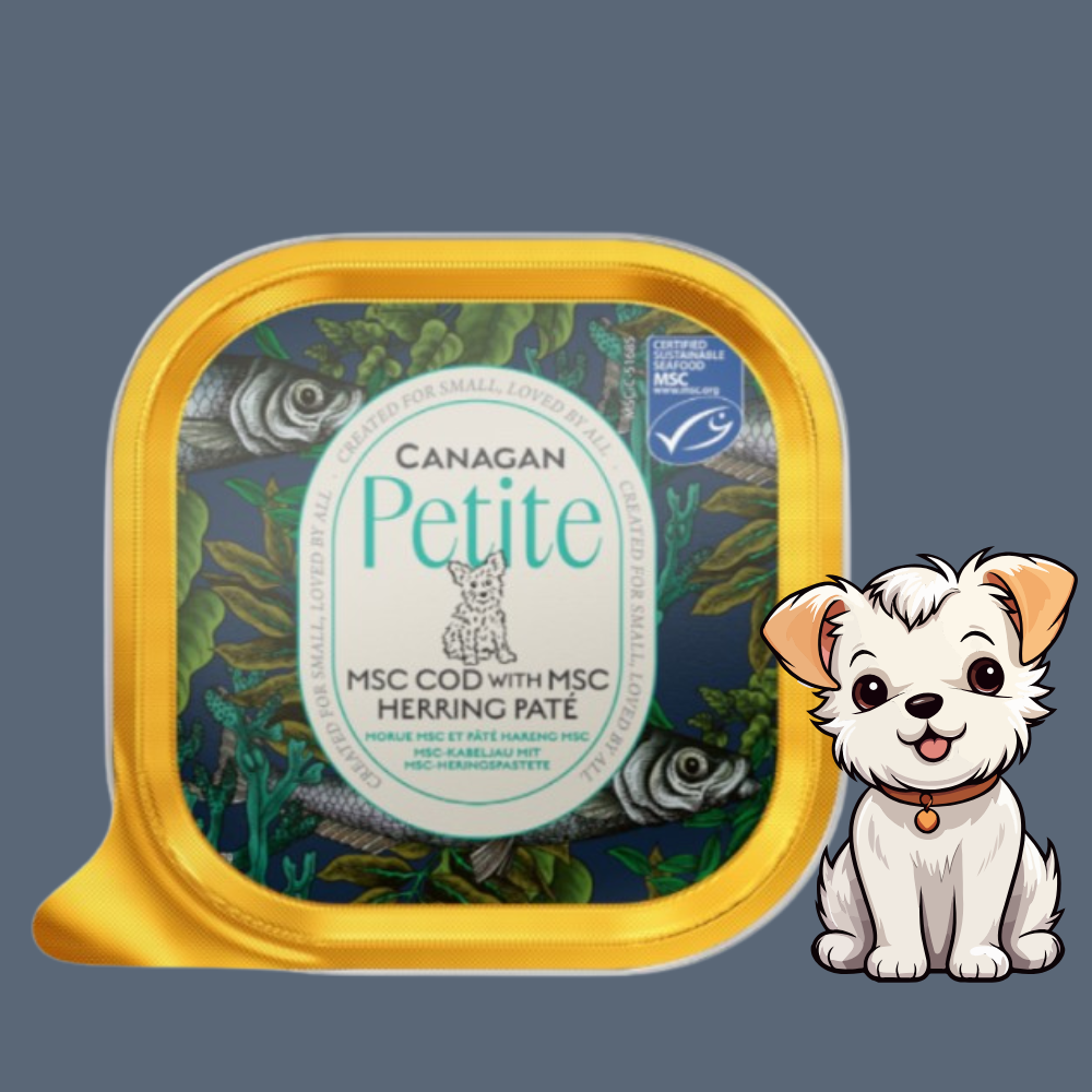Canagan Petite Patè di Merluzzo e Aringa per Cani