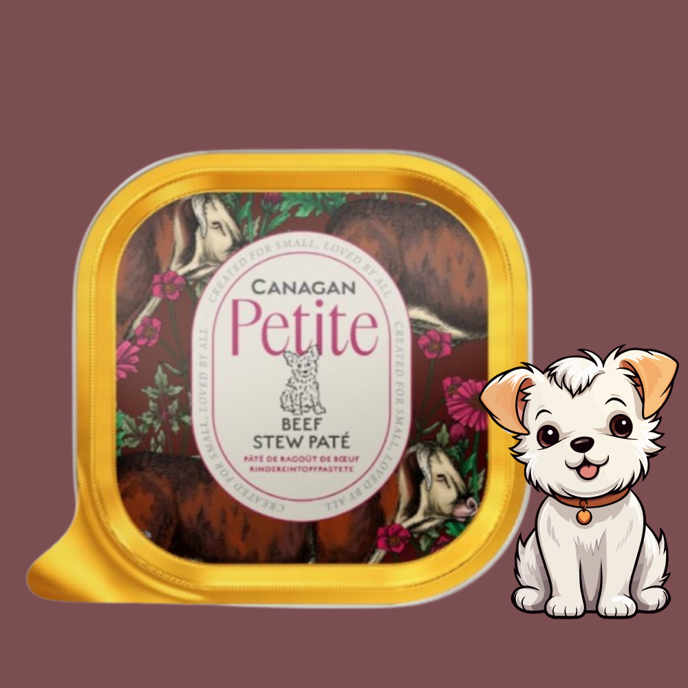 Canagan Petite Patè di Manzo per Cani