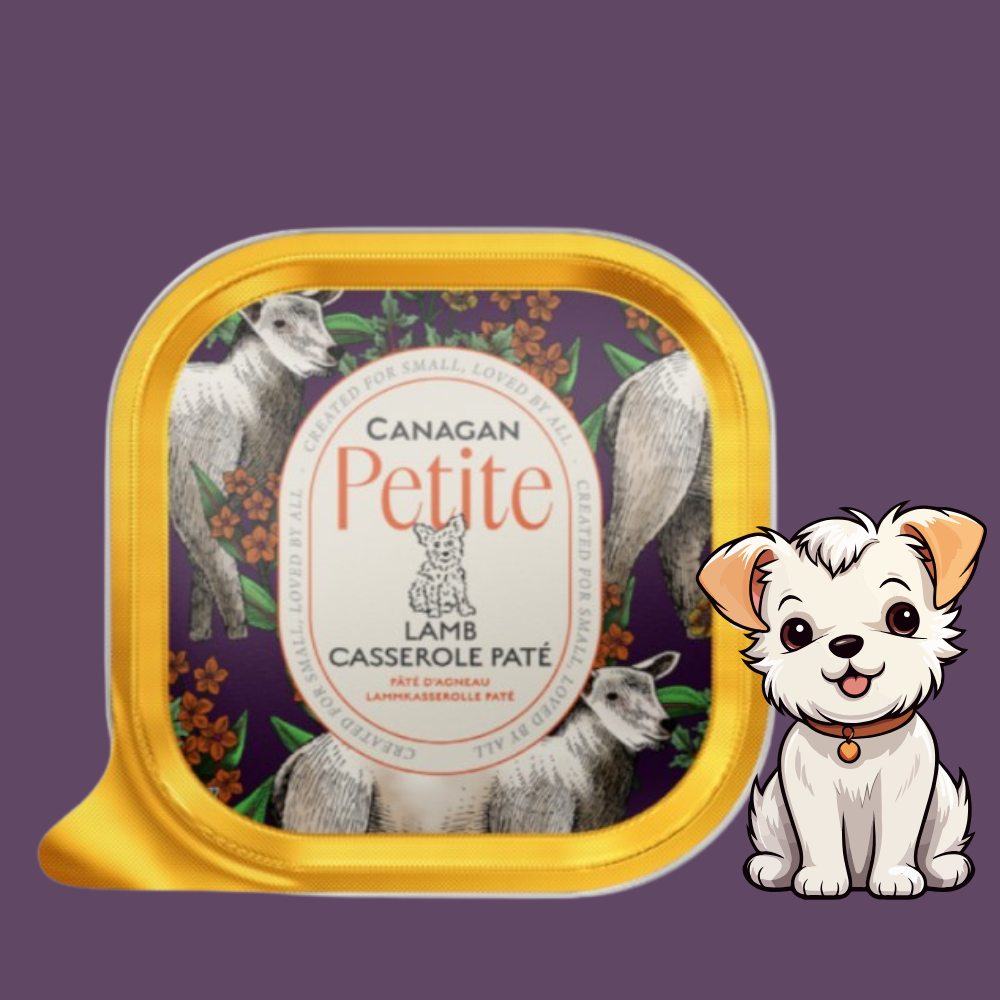 Canagan Petite Patè di Agnello per Cani