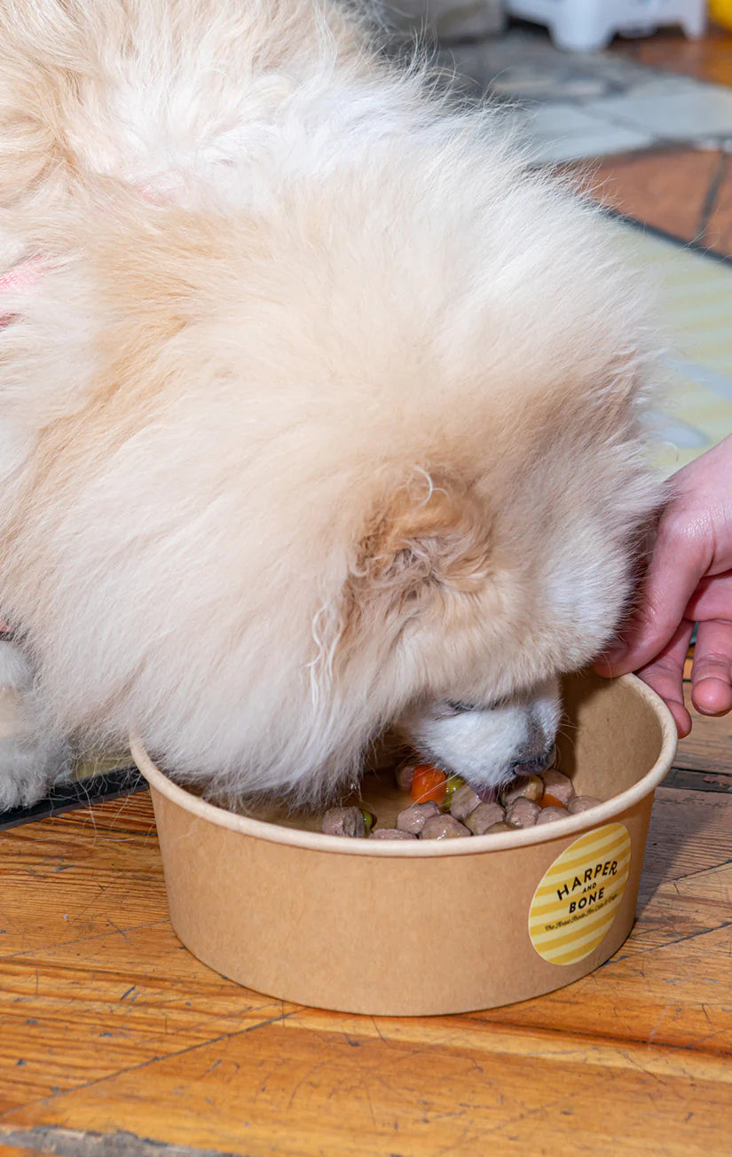 Harper And Bone-Polpette per cani Flavours of the farm