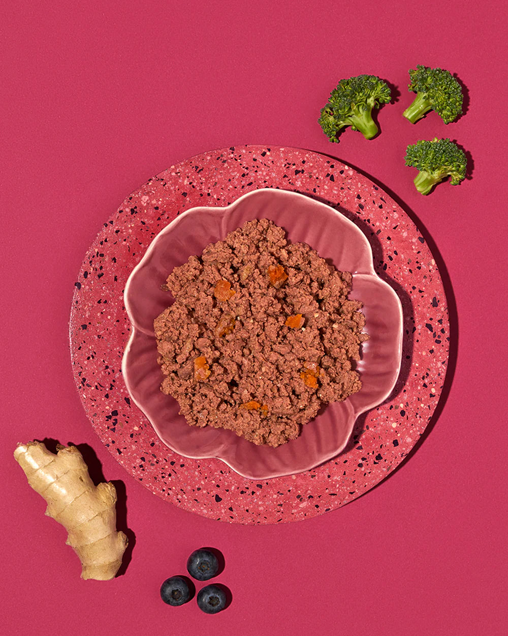 Amanova- Umido cane adulto Delizia di tacchino P07