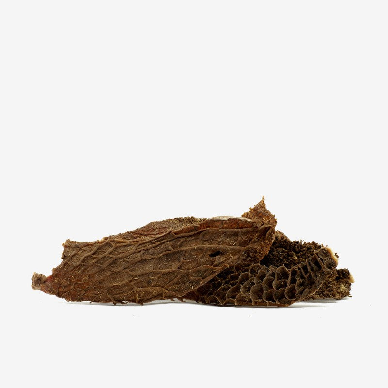 Crudité Trippa Verde di Scottona Romagnola