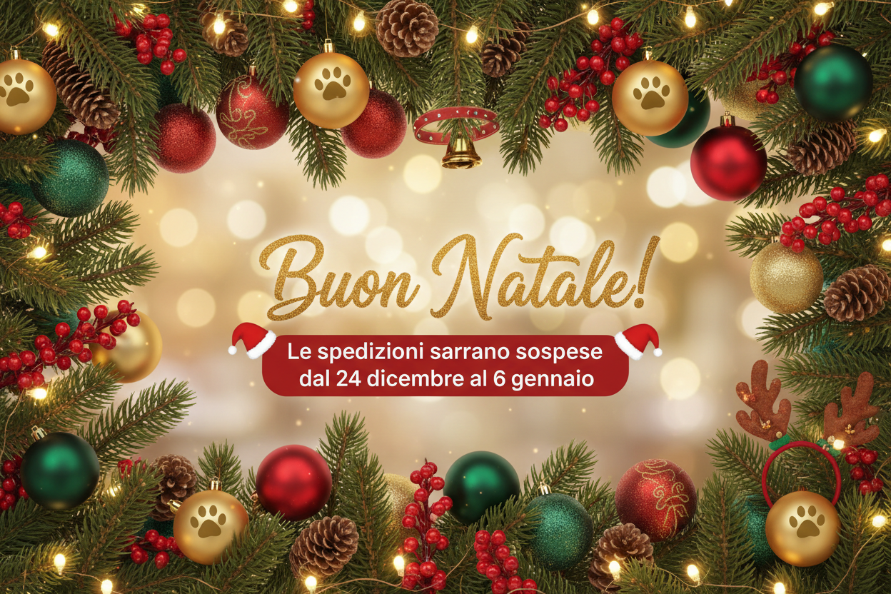 IMMAGINE DI AUGURI DI NATALE DOVE SI DICE CHE LE SPEDIZIONI SI FERMERANNO DAL 24 SINO AL 6 GENNAIO