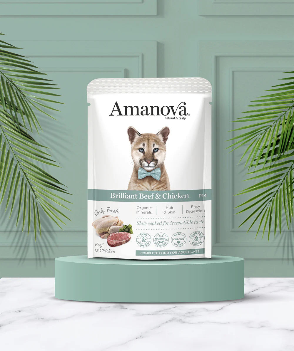 Amanova-umido gatto manzo e pollo eccellenti P14