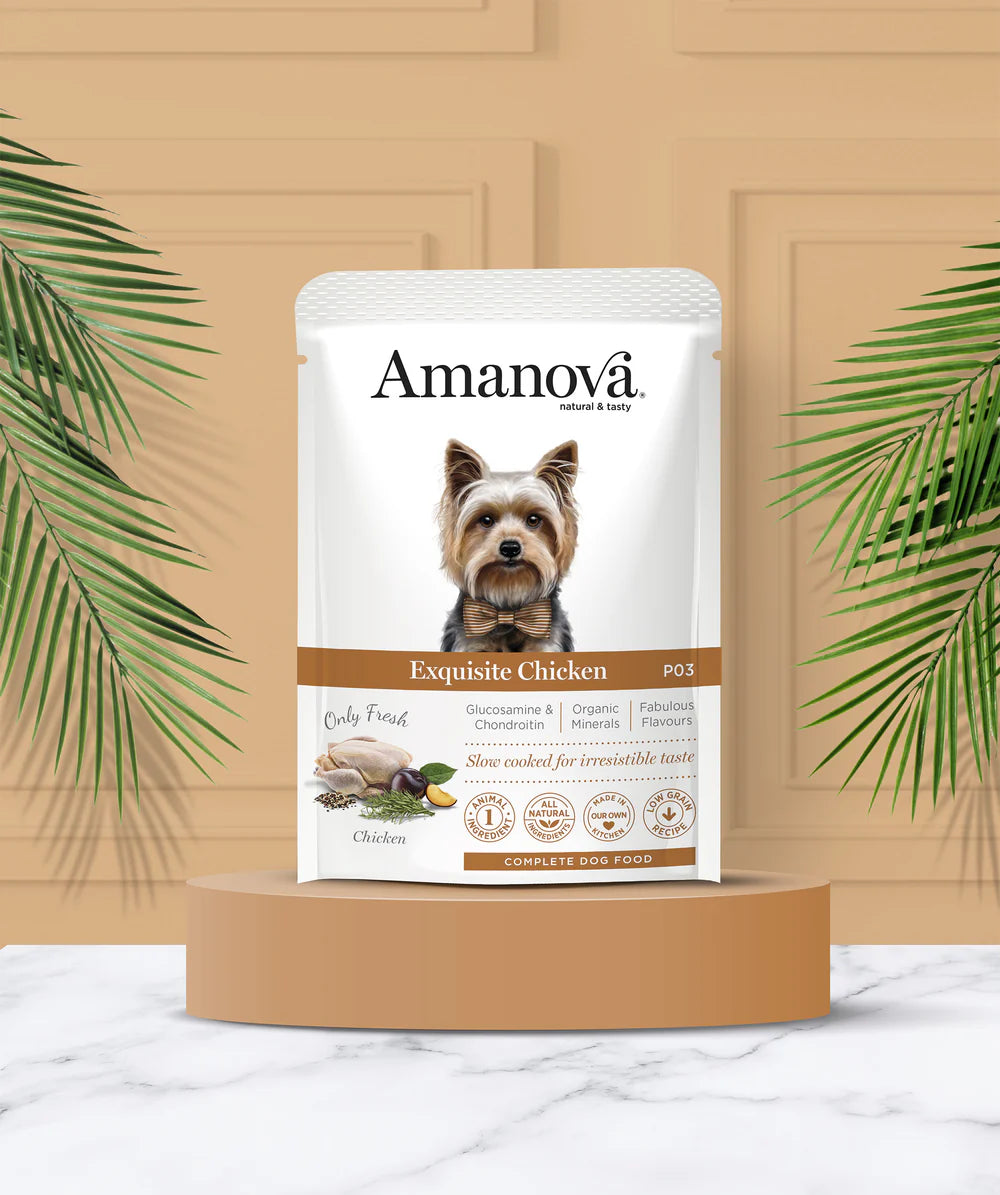 Amanova- Umido cane adulto pollo Squisito P03