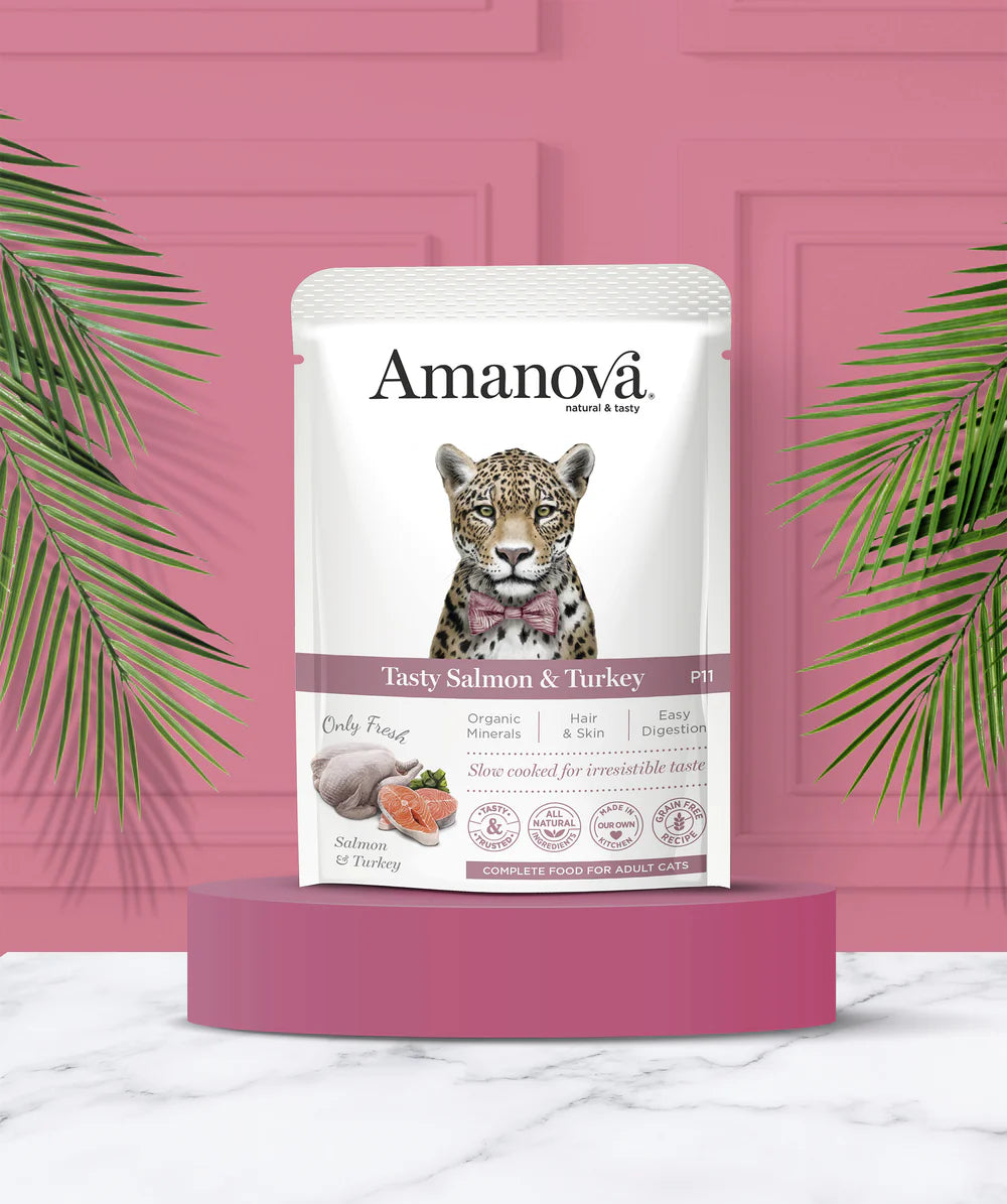 Amanova-Umido gatto salmone e tacchino saporiti P11
