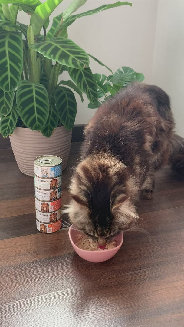 Amanova-Filetto di tonno con granchio Nr11